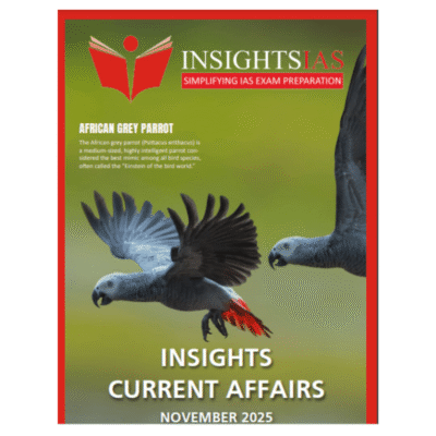 InsightsIAS Current Affairs – November 2025